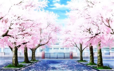 Cherry Blossoms Anime Scenery Wallpapers - Top Free Cherry Blossoms ...