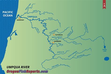 Umpqua River - Fish Reports & Map