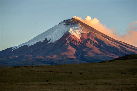 All you need to know about Cotopaxi National Park - Wanderbus Ecuador