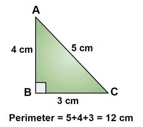 Perimeter of right-angled triangle - DewWool