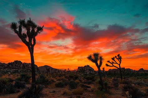 Seven Tips For Stunning Desert Photography – MyPostcard