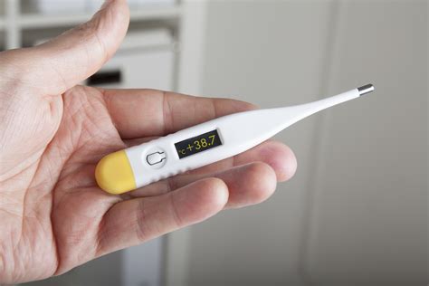 Best Thermometers 2020: Take Temperature, Tell If You Have a Fever ...