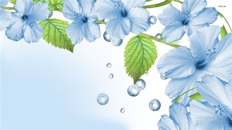 8. blue flower wallpaper8 600×338