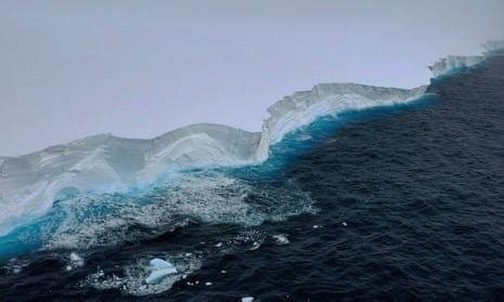 ‘Incredibly lucky’: Antarctic scientists examine world’s largest ...