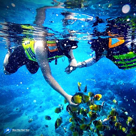 Blue Lagoon Bali Paradise Snorkeling Tour - Blue Star Bali Tour