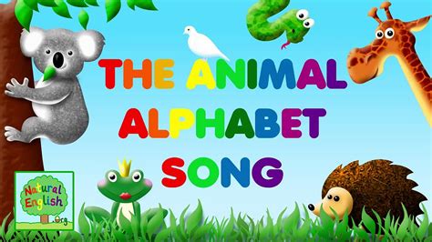 The Animal Alphabet ABC Song ~ Fun Learning for Children ~ by Natural ...