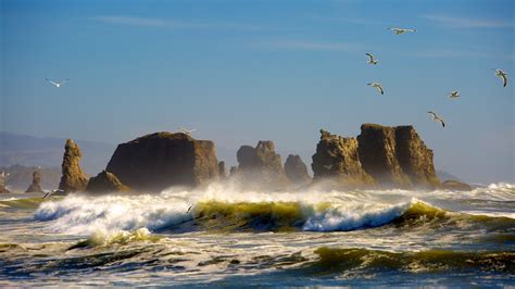 Bandon Beach in Bandon, Oregon | Expedia