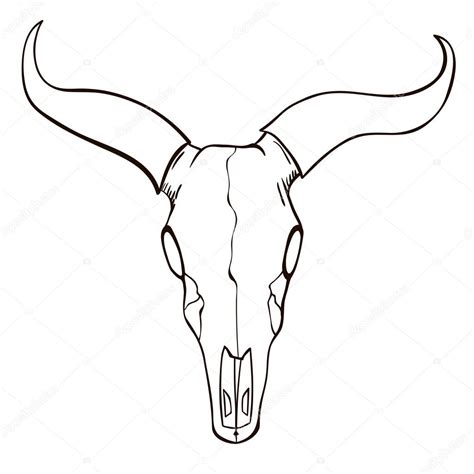 Longhorn Cattle Drawings | Free download on ClipArtMag