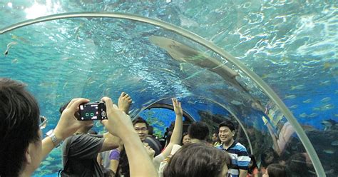 Manila Ocean Park Attractions