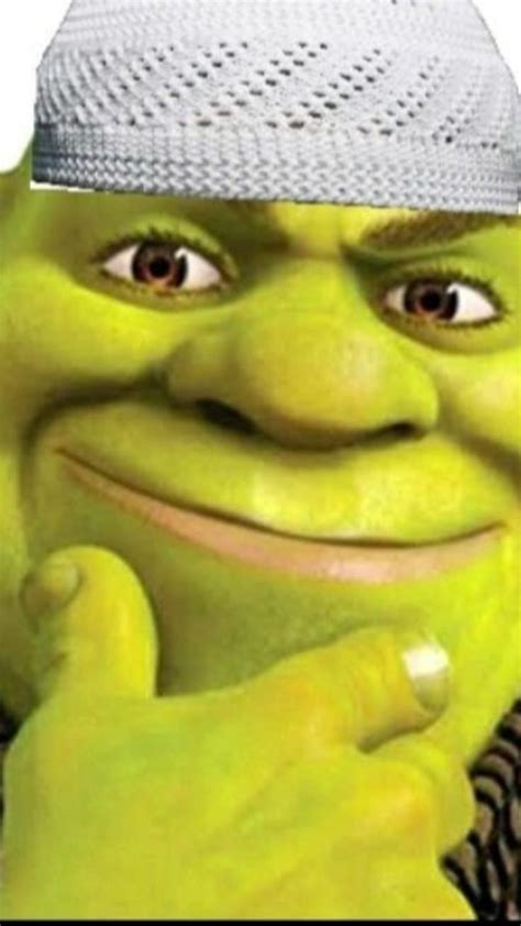 SHREK ISLAMIC RIZZ | Shrek, Shrek memes, Funny cartoon