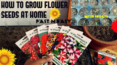 Garden Flower Seeds In India – Garden Design