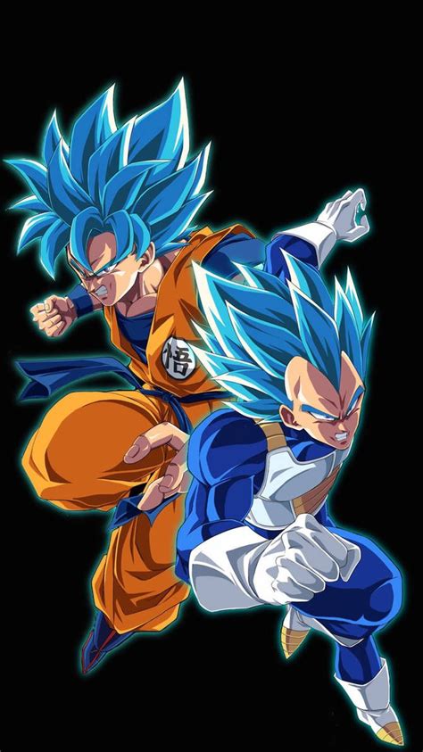 Super Saiyan Blue Goku and Vegeta by KingGoku23 on DeviantArt Dragon ...