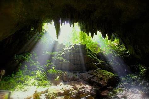 Camuy River Cave Park to Reopen in March | Lifestyle | theweeklyjournal.com