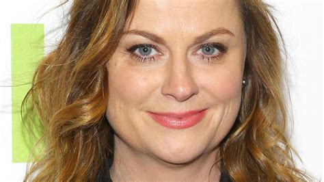 Amy Poehler Developing Animated Comedy With The Simpsons Duo