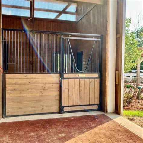 The Best Feed & Water Options for Your Horse Stalls - STABLE STYLE