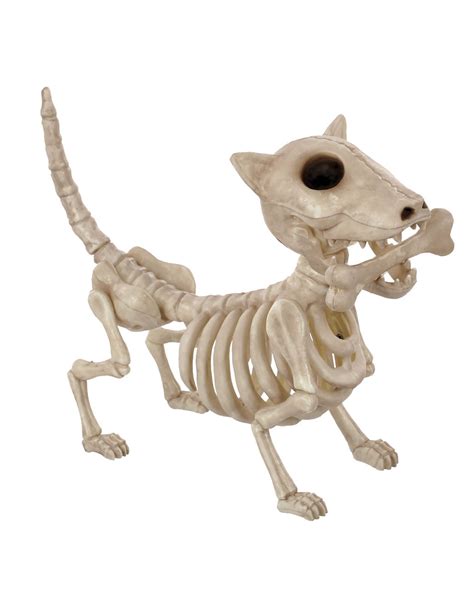 Dog Skeleton Halloween Decoration | ubicaciondepersonas.cdmx.gob.mx