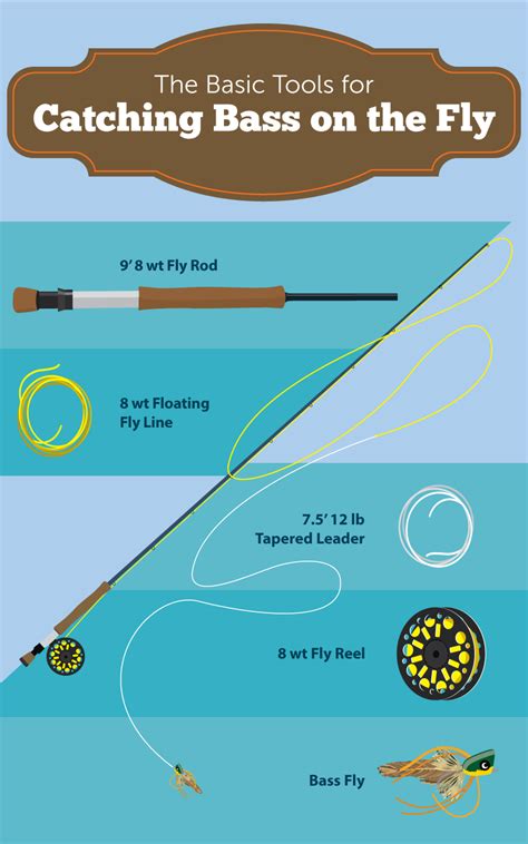 Best Fly Fishing Setup For Trout - All About Fishing