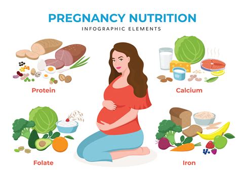 Pregnancy Nutrition