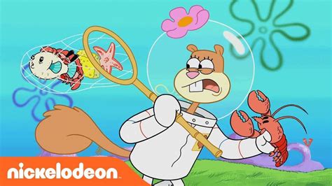 Sandy Cheeks: The Squirrel Superhero We Need | SpongeBob SquarePants ...