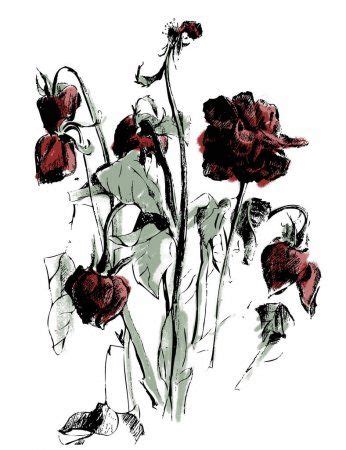 Wilted rose Vector Art Stock Images | Depositphotos | Roses drawing ...