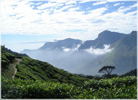 Top Station Munnar, Kerala | Popular Tourist Spot in Munnar