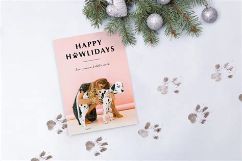 Christmas Card Ideas With Dogs