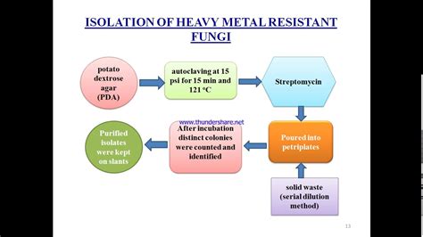 BIOLEACHING PROCESS - YouTube