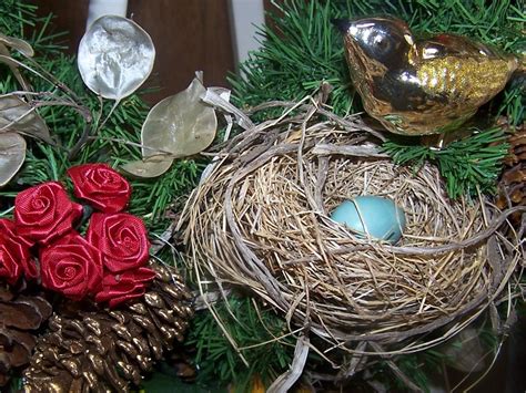 Perennial Passion: Christmas Wreath with Bird's Nest