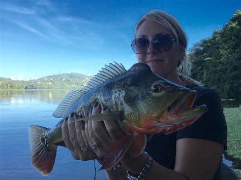 Peacock Bass Fishing in PR - TinBoats