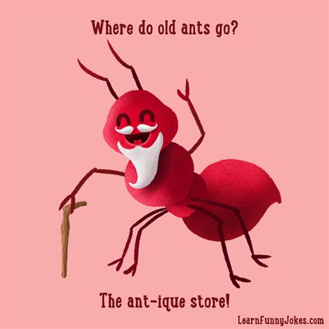 Where do old ants go? The ant-ique store! — Learn Funny Jokes