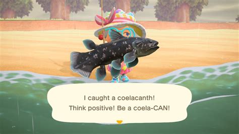 Animal Crossing New Horizons: How to Catch Coelacanth - Hold to Reset