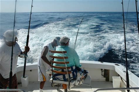 Gallery - Tamarindo Sportfishing