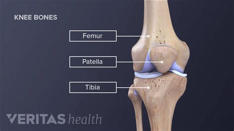 Discover 63+ knee joint sketch super hot - seven.edu.vn