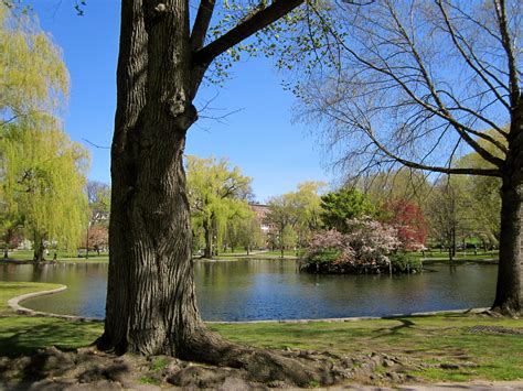 Public Garden, Boston Public Garden, Boston, Waterfall, Favorite Places ...