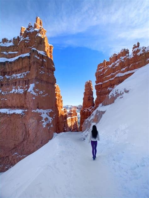 Bryce Canyon National Park in the Winter | Follow Tiff's Journey ...