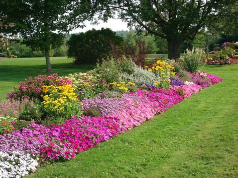 The Meditative Gardener: Simplify Your Flowerbed