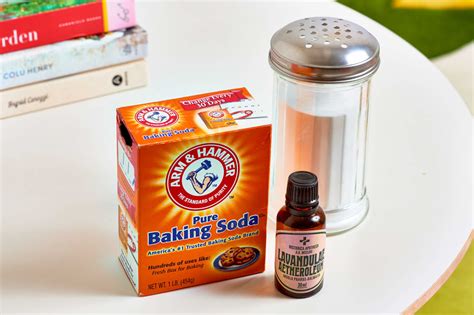 How to Use Baking Soda on Carpet as a Deodorizer | Apartment Therapy