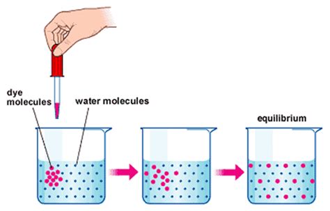 Diffusion, Active Transport and Osmosis: Grade 9 Understanding for ...