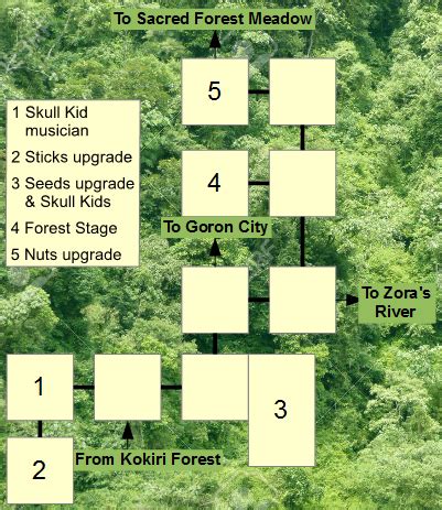 Lost Woods Map Trail