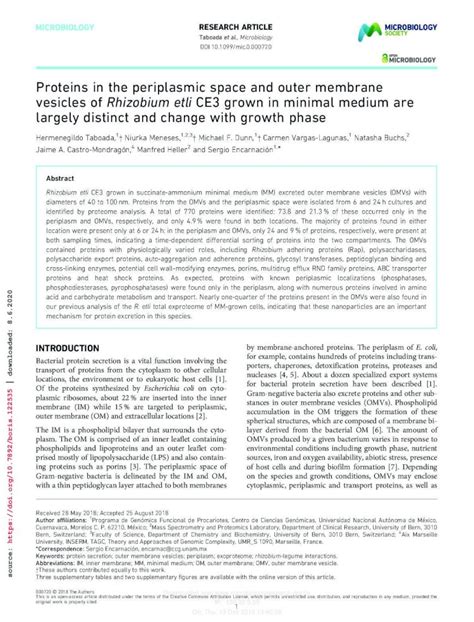 (PDF) Proteins in the periplasmic space and outer membrane vesicles ...