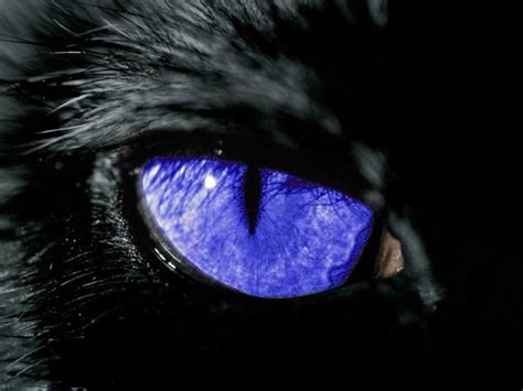 Black Eyes Wallpapers - Wallpaper Cave