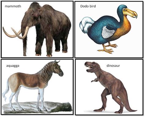 extinct animals - DriverLayer Search Engine