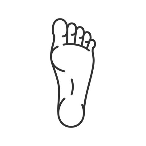 Foot linear icon. Thin line illustration. Contour symbol. Vector ...