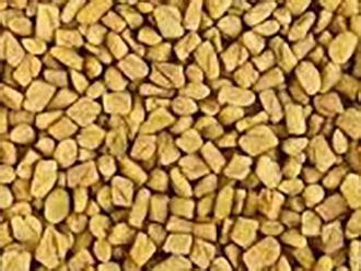 Fenugreek Seeds - Bulk Fenugreek | A1 Spice World