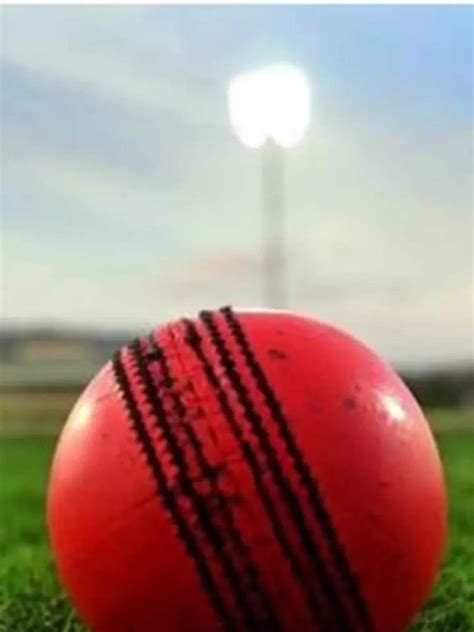 3 Popular Types Of Cricket Balls | Times Now