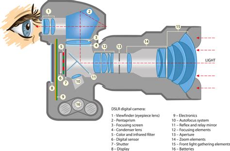 Parts of a Camera: Understanding How Digital Camera Works • PhotoTraces