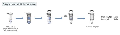 Qiagen Dna Extraction Kit