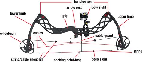 The Compound Bow