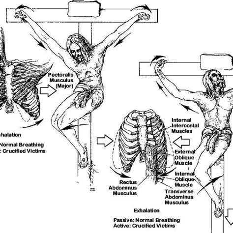 Crucifixion in the Roman World: Ideology Behind the Brutal Practice ...