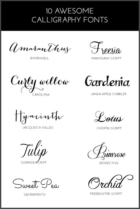 10 AWESOME CALLIGRAPHY FONTS (PINKPOT) | Best calligraphy fonts, Tattoo ...